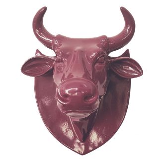 Cabeza Tinto4